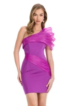 Kiraz Mini Dress -Naked Dresses Store 4839 Purple 1
