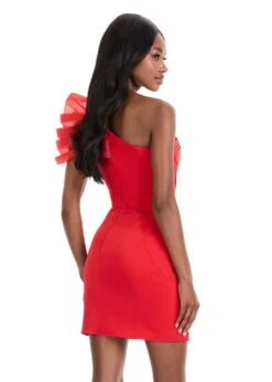 Kiraz Mini Dress -Naked Dresses Store 4839 Red 2