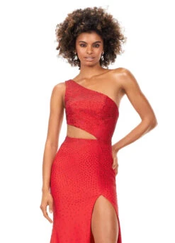 Billie Gown -Naked Dresses Store ASHLEYlauren 11337 Red Billie Evening Gown. Close Up