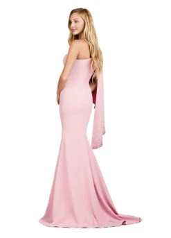 Ciara Gown -Naked Dresses Store ASHLEYlauren 11421 Pink Ciara Evening Gown. Back