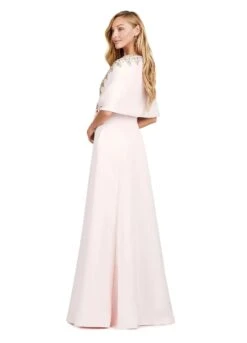 India Gown -Naked Dresses Store ASHLEYlauren 11426 Blush India Evening Gown.Back