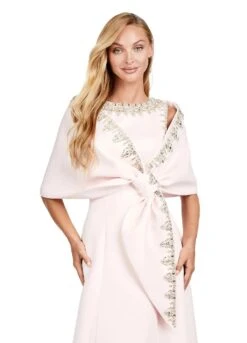 India Gown -Naked Dresses Store ASHLEYlauren 11426 Blush India Evening Gown. Close Up