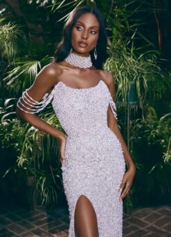 Royal Gown -Naked Dresses Store ASHLEYlauren 11598 Silver Royal Evening Gown. Editorial Close Up