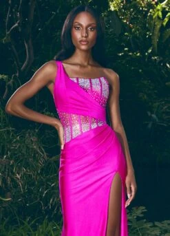 Adara Gown -Naked Dresses Store ASHLEYlauren 11617 Magenta Adara Evening Gown. Editorial Close Up