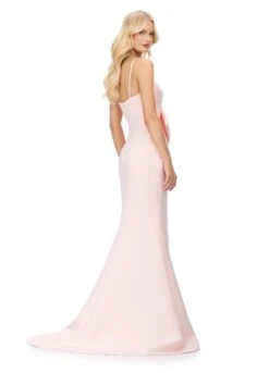 Jinnie Gown -Naked Dresses Store ASHLEYlauren 11702 Blush Jinnie Evening Gown. Back