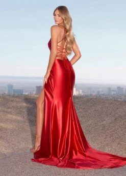 Lia Gown 17 Lia Gown -Naked Dresses Store ASHLEYlauren 11950 Red Lia Gown. Back. Editorial