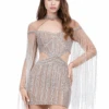Taylor Mini Dress -Naked Dresses Store ASHLEYlauren 4601 Silver Taylor Mini Dress