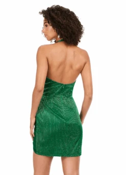 Darla Mini Dress -Naked Dresses Store ASHLEYlauren 4620 Emerald Darla Mini Dress. Back