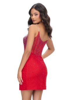 Cora Mini Dress -Naked Dresses Store ASHLEYlauren 4690 Red Cora Mini Dress. Back