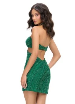 Hayati Mini Dress -Naked Dresses Store ASHLEYlauren 4751 Emerald Hayati Mini Dress.Back