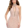 Phoebe Mini Dress -Naked Dresses Store ASHLEYlauren 4753 Nude Phoebe Mini Dress