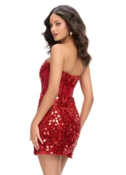 Tiara Mini Dress 16 Tiara Mini Dress -Naked Dresses Store ASHLEYlauren 4757 Red Tiara Mini Dress. Back