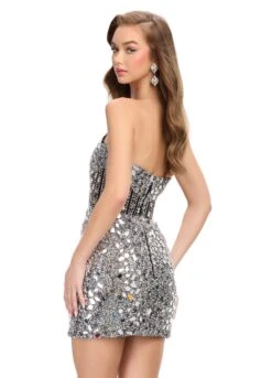 Tiara Mini Dress 12 Tiara Mini Dress -Naked Dresses Store ASHLEYlauren 4757 Silver Tiara Mini Dress. Back