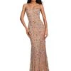 Inaya Gown -Naked Dresses Store MultiDarkNude ASHLEYlauren 11512 Inaya Evening Gown