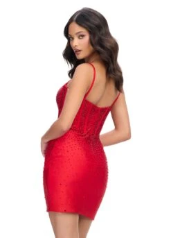 Talia Mini Dress -Naked Dresses Store Red ASHLEYlauren 4693 Talia Mini Dress.Back